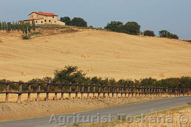 podere 013